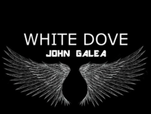 New Song – ‘White Dove’